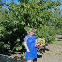 ���� �������, ���������, 40 ��� - ��������� 25 ��� 2024 � ������ ���� ����������