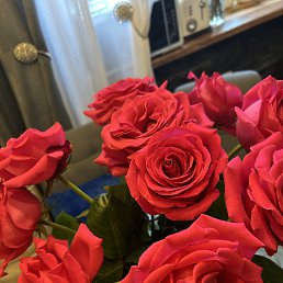 ���� �����, ������, 50 ��� - ��������� 18 ��� 2026