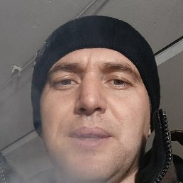 ������, ��������, 36 ���