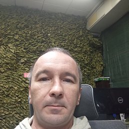 , 45, 