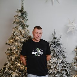 ���� �������, ������, 43 ���� - ��������� 29 ����� 2026