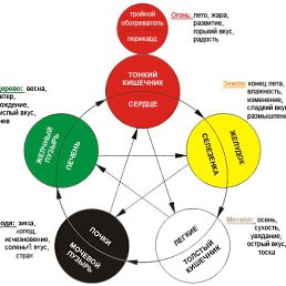 �������, ���������, 61 ���