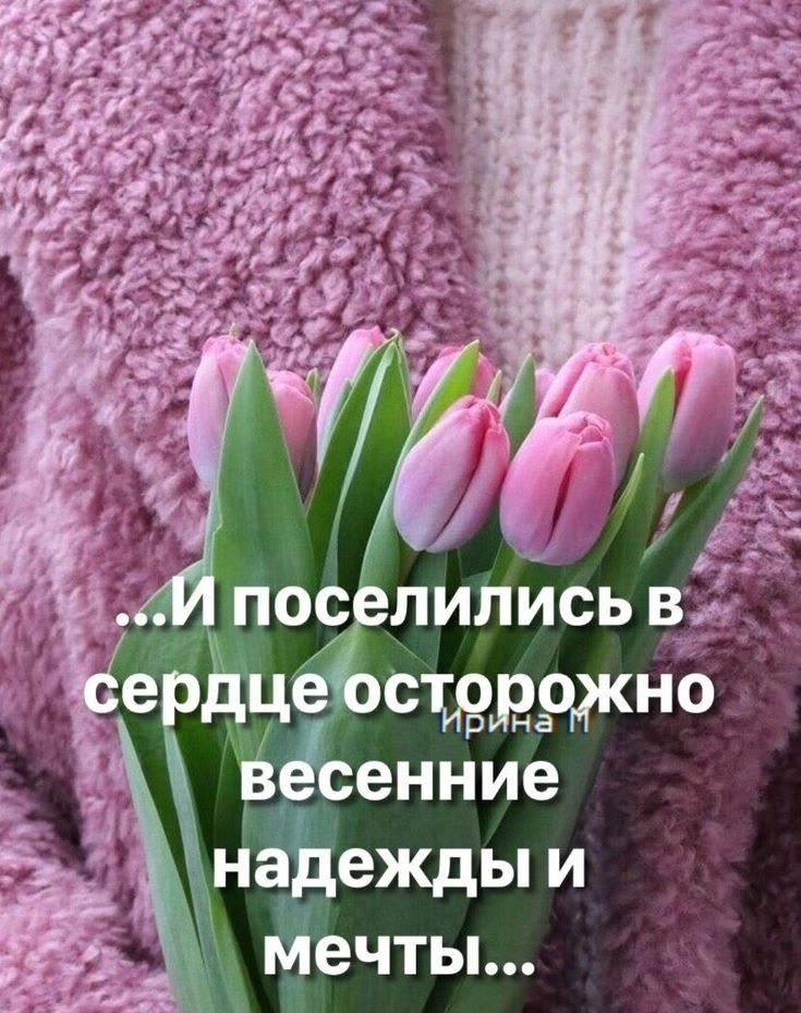 �� ����� ������! - 11 ����� 2026 � 07:46