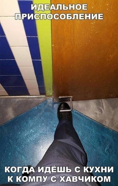 ? ,  ! - 25  2024  12:47