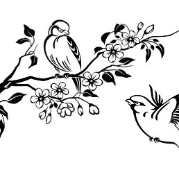 ������, ������, 41 ���