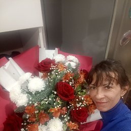 ����, 41 ���, �����������