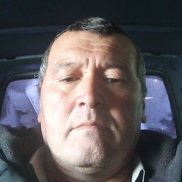 ������, ����������, 45 ���