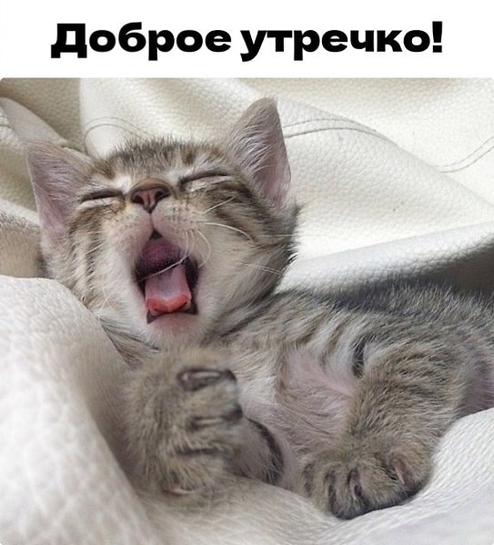   - 9  2025  10:27