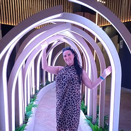 ���� �������, ������, 50 ��� - ��������� 4 ����� 2026