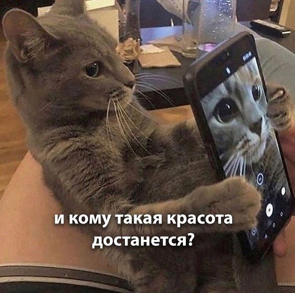    - 19  2024  10:13