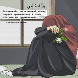 �����, ���������, 40 ���