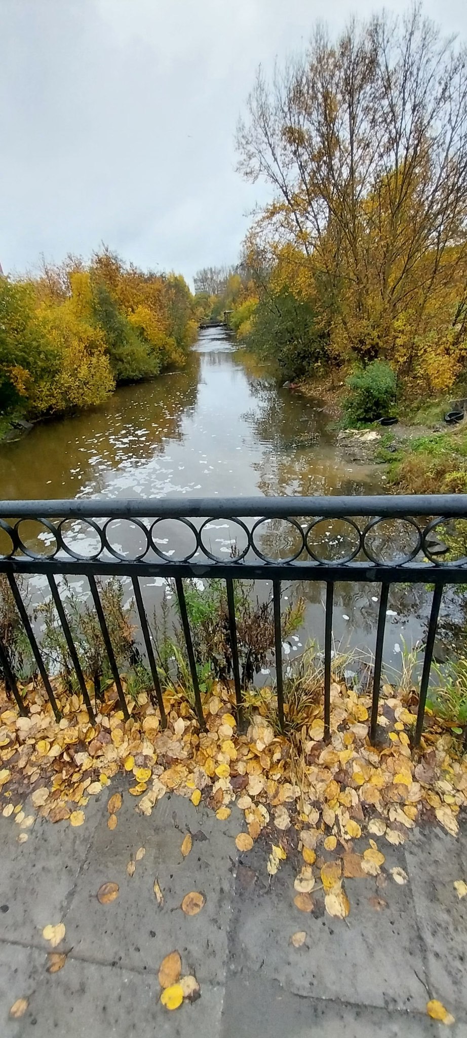 ���������, ���� �������... - 2