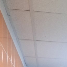 ������, ����, 41 ���