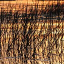  , , 58  -  21  2025    2010