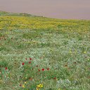 ���� ������, ������, 29 ��� - ��������� 10 ������� 2024 � ������ ���� ����������