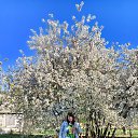  Fotin@, , 51  -  23  2025    