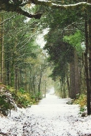 � � �������, ����� �� ����... ��, ������ ������, ��� �� ������! - 5