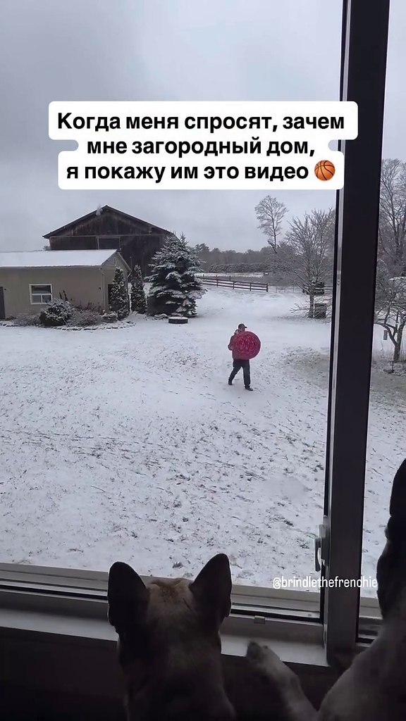 �������, ������ ��� ����� � ��������� ���������.