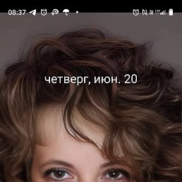 ���� �������, ������������, 53 ���� - ��������� 22 ���� 2024