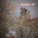 ���� �������, �����, 61 ��� - ��������� 31 ������� 2023