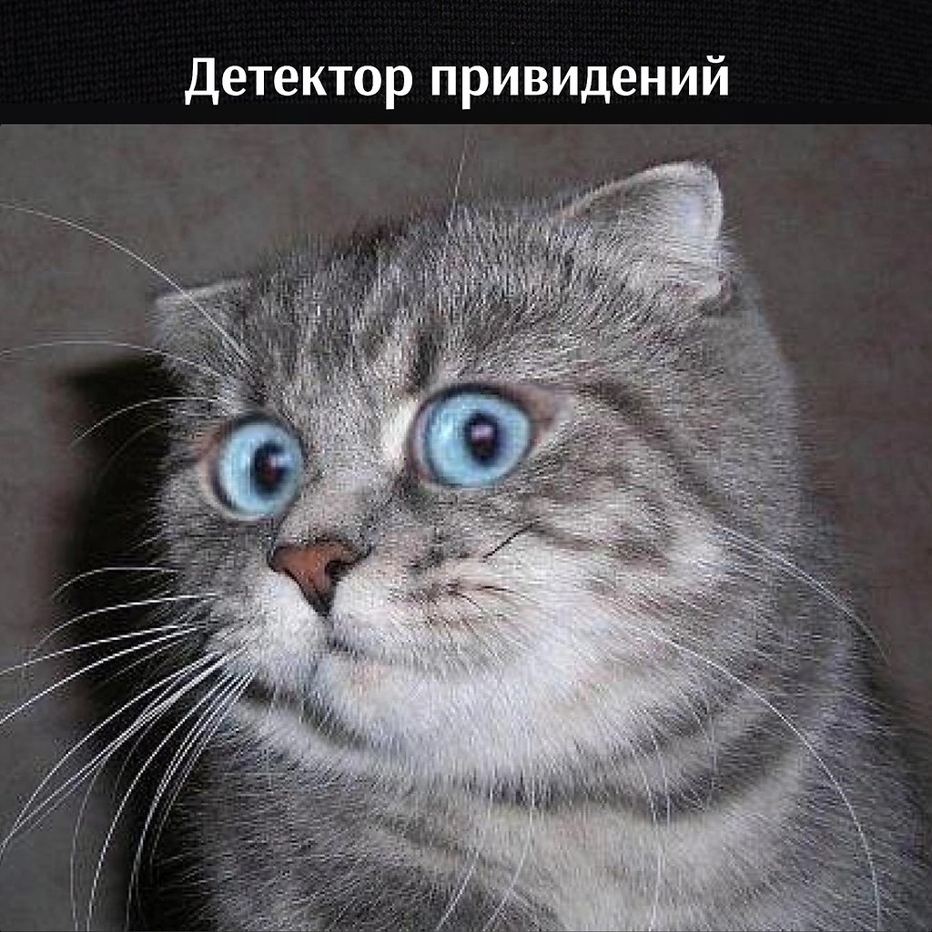       - 24  2025  17:30