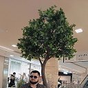 ���� ���, ������, 26 ��� - ��������� 6 �������� 2025 � ������ ���� ����������