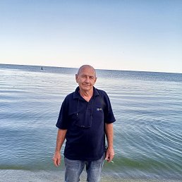 , 66, 