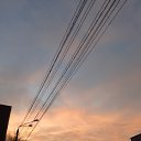 ���� ������, ����������� - ��������� 25 ������ 2024 � ������ �������