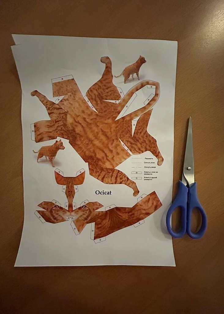  ,      