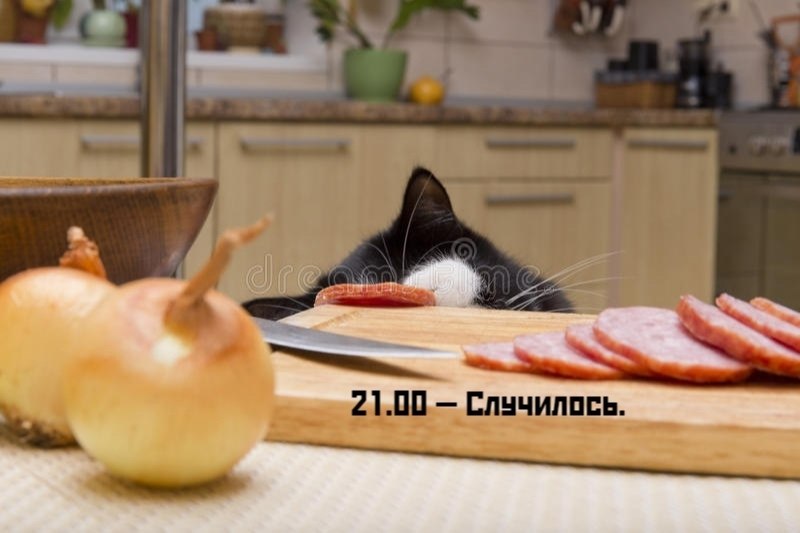��� ���� � ����� �� �� - 28 ������ 2026 � 12:55 - 3
