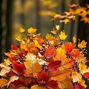 ���� �������, ���������, 45 ��� - ��������� 6 ������� 2025 � ������ ���� ����������