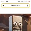 ���� �����, �����������, 25 ��� - ��������� 6 ��� 2026 � ������ ���� ����������