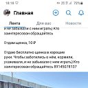 ���� �������, �����������, 49 ��� - ��������� 1 ������ 2024