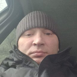 �����, ��������, 40 ���