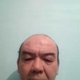 , 52, 