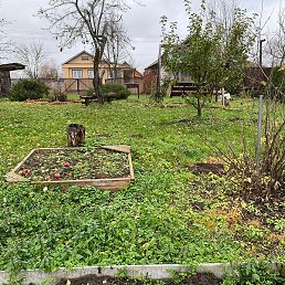 ������� ��������, ������, 60 ���