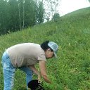 ���� �����, ��� - ��������� 1 ���� 2024 � ������ ���� ����������