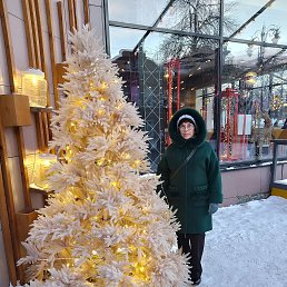 ���� ������� �������, ������������, 67 ��� - ��������� 8 ������ 2026