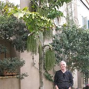 ����, 67 ���, �����������