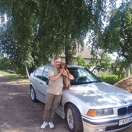 ����, �����, 56 ���