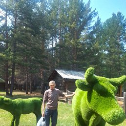 �������, �����, 38 ���