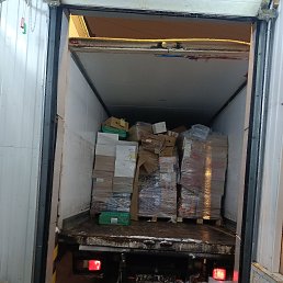 ���� �������, ������, 50 ��� - ��������� 11 ����� 2026