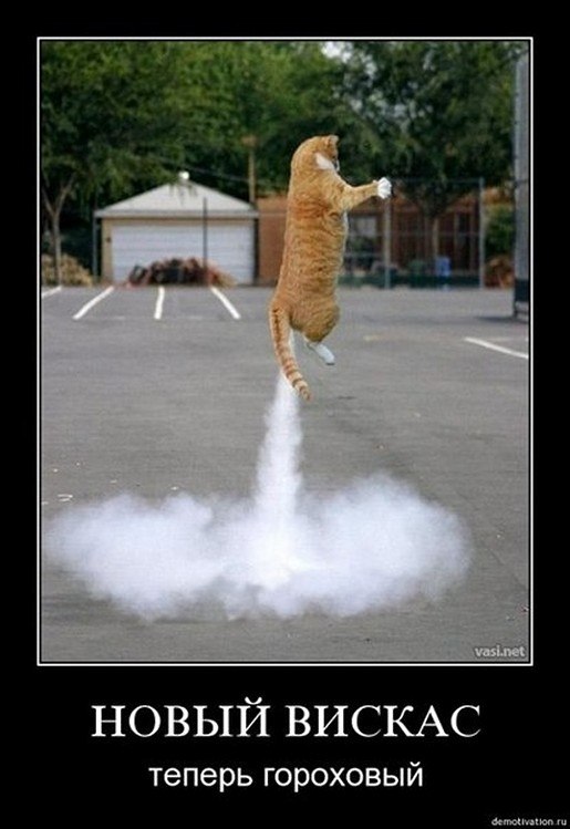 ☆   ☆ - 27  2025  12:09