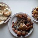 ���� �������, ������������, 51 ��� - ��������� 9 ������� 2024 � ������ ������������