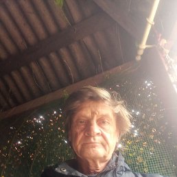 , 59 , 