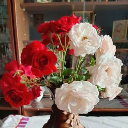 ����, ������ �����, 75 ���