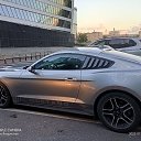 ���� �����, ������, 54 ���� - ��������� 11 ������ 2024