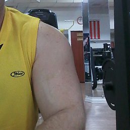 ����, �����������