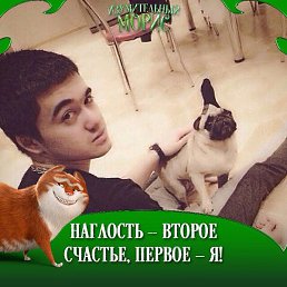 � �, �������, 36 ���