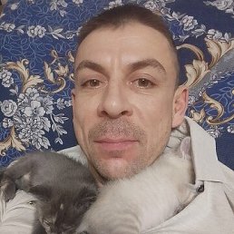 ���� ���������, �����, 39 ��� - ��������� 21 ������� 2026